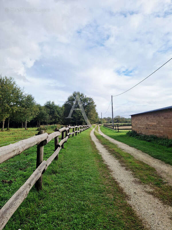 Maison à BEAUFORT-EN-VALLEE