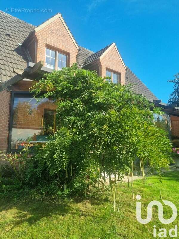 Photo 2 - Maison à VILLENEUVE-D&#039;ASCQ