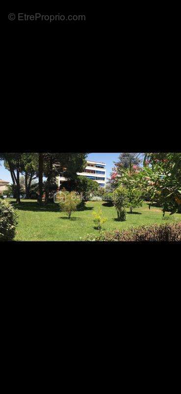 superbe T2 traversant de 49 m2 avec terrasse plage et port a 200 M - photo 7