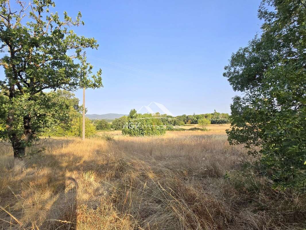 Environ 7000 m² de terrain constructible + maison - photo 3