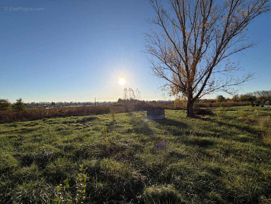 Terrain à RABASTENS
