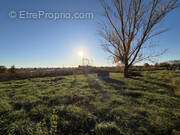 Terrain à RABASTENS