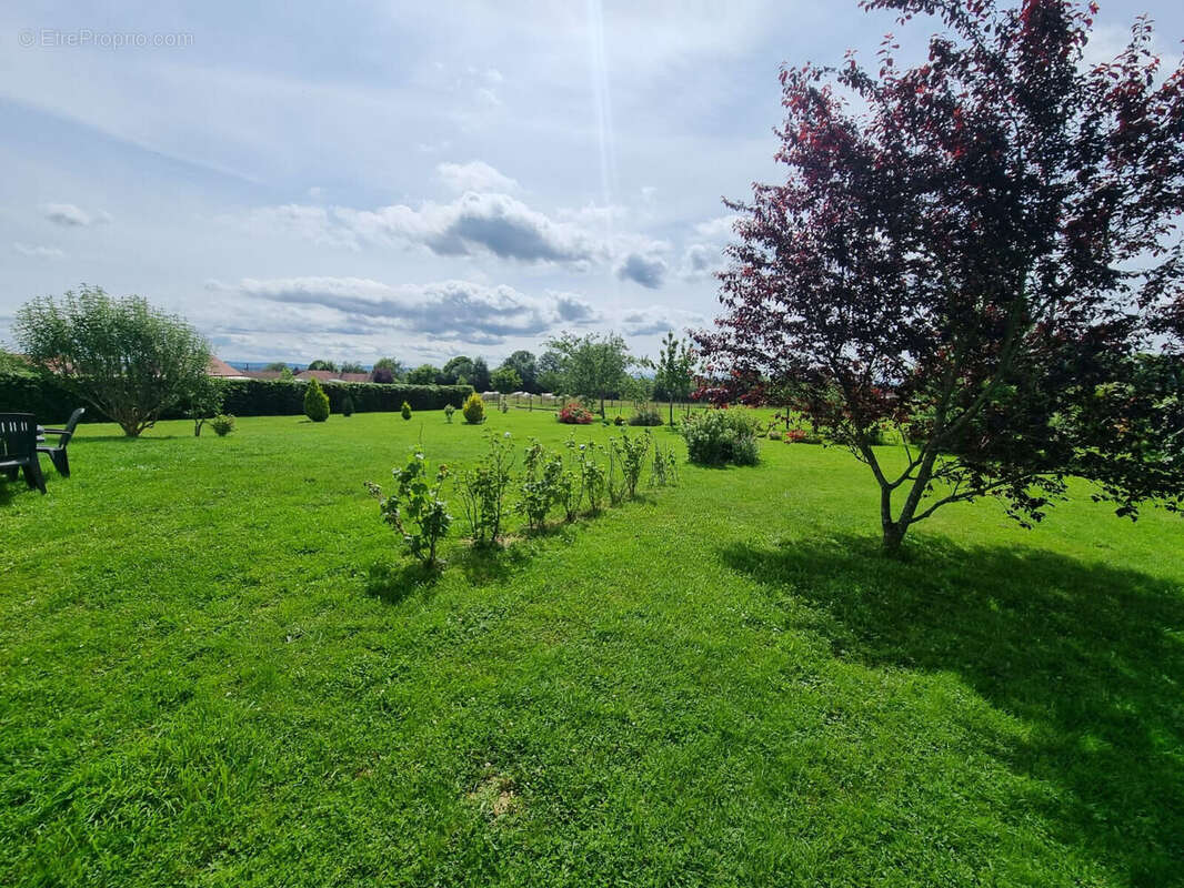 Photo 3 - Maison à SAINT-VINCENT-BRAGNY