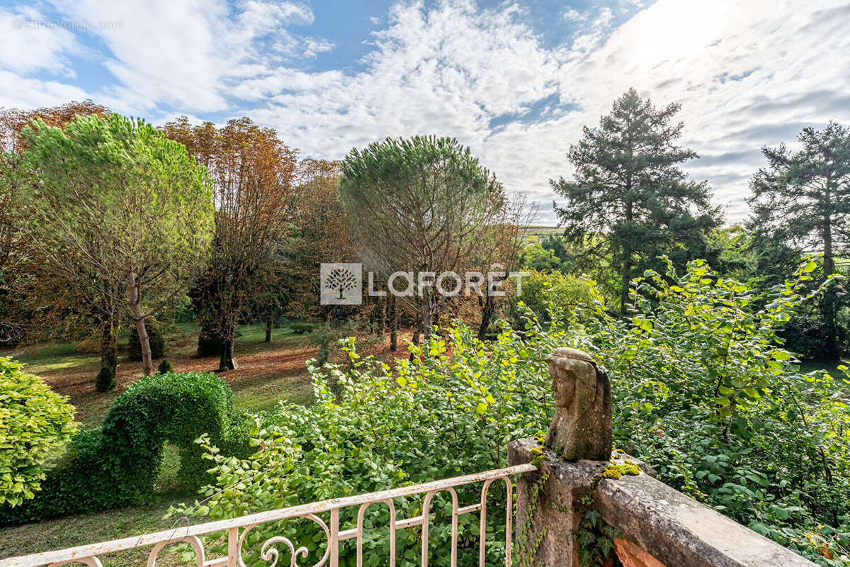 Commerce à BELLEVILLE