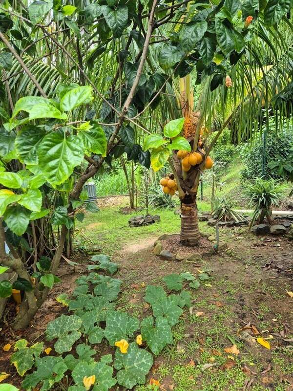 Maison à LES TROIS-ILETS