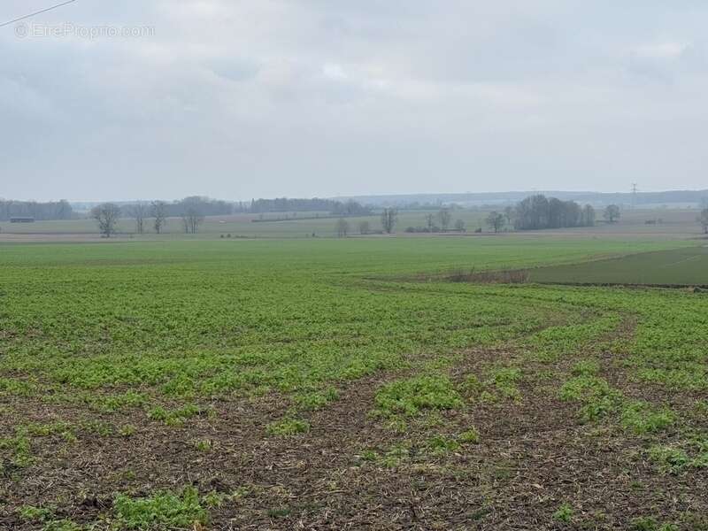 Terrain à GRISY-LES-PLATRES