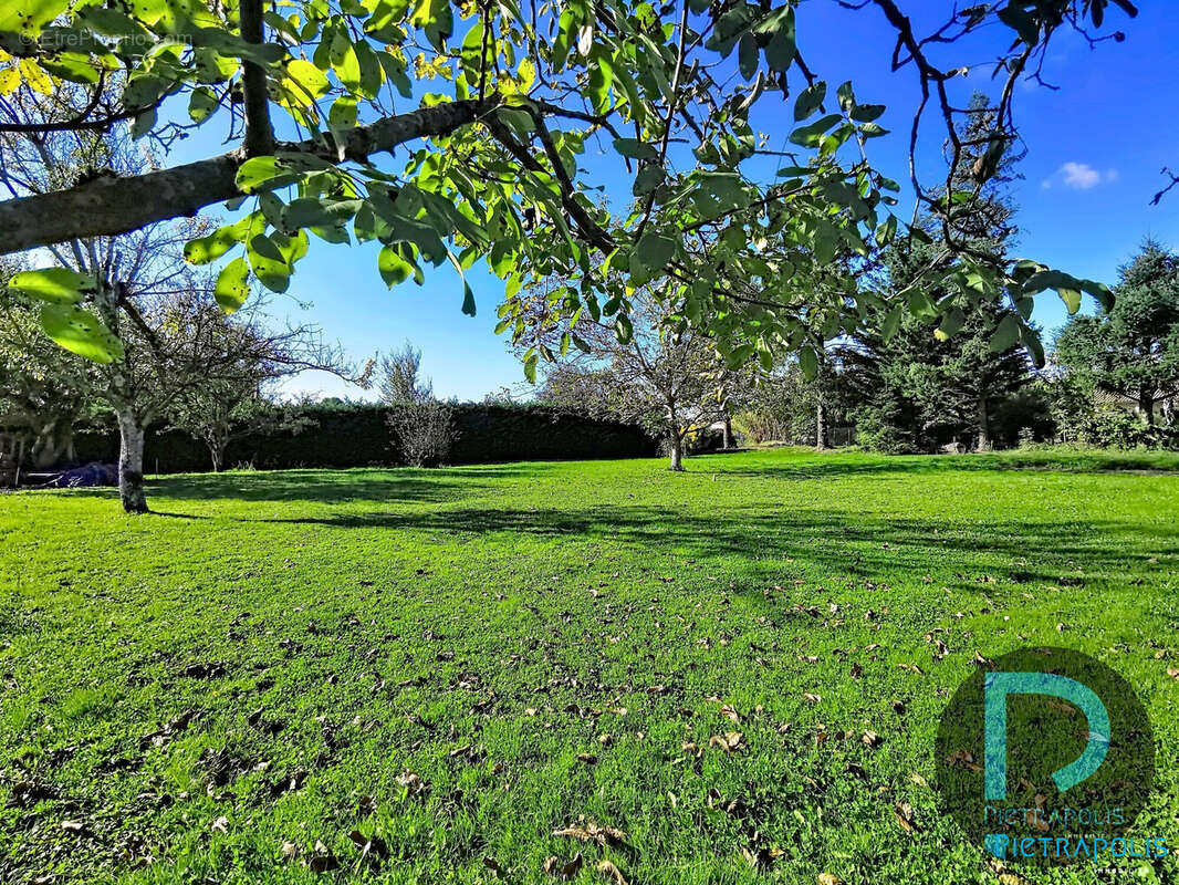 PAS DE VIS A VIS - Terrain à SAINT-CYR-SUR-MENTHON