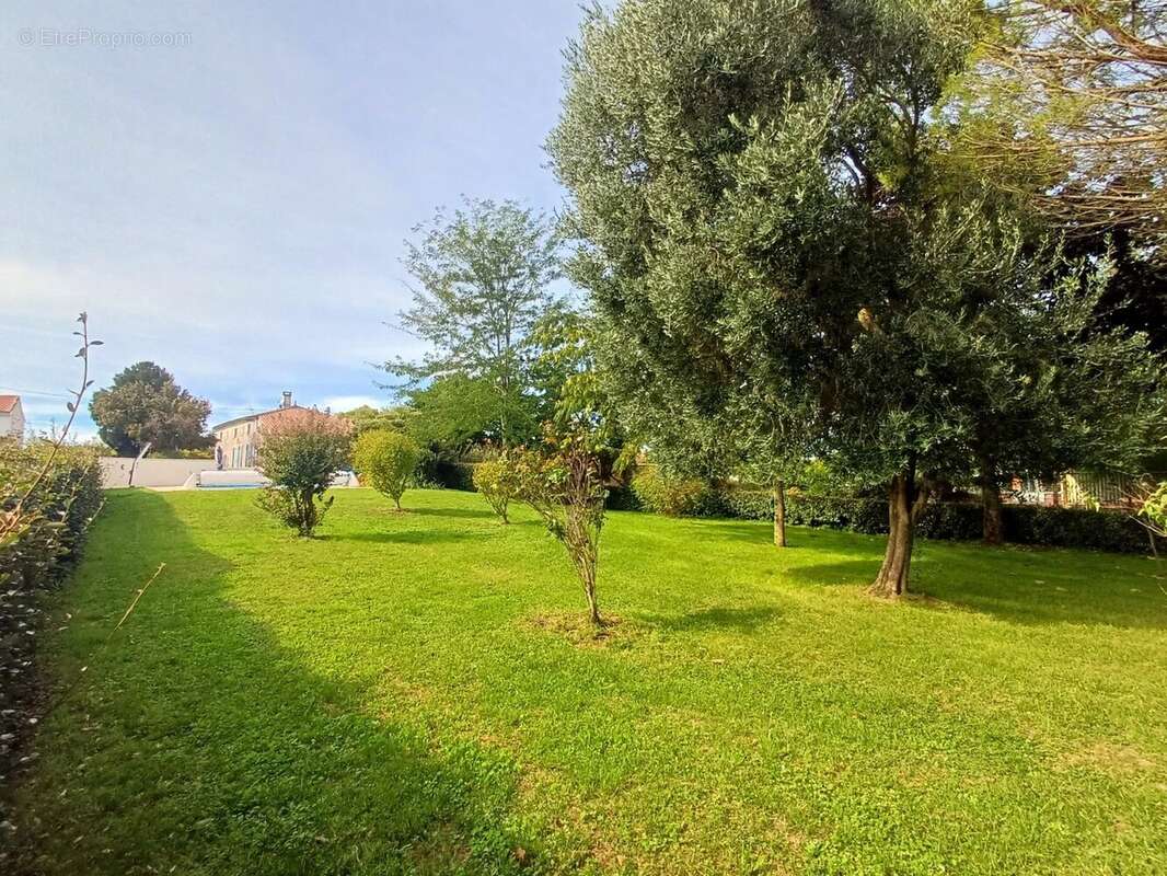 Maison à SAINT-CIERS-DU-TAILLON