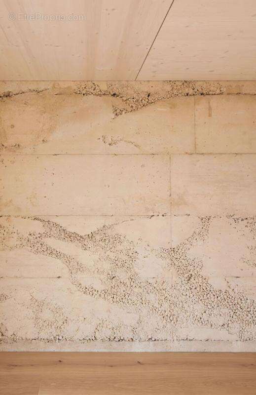 Maison à SAINT-CYR-AU-MONT-D'OR