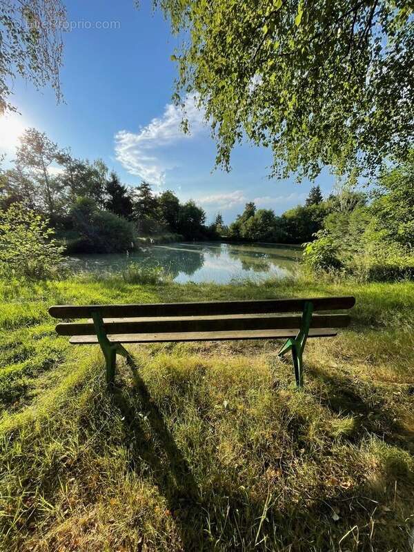Terrain à SAINT-ULRICH