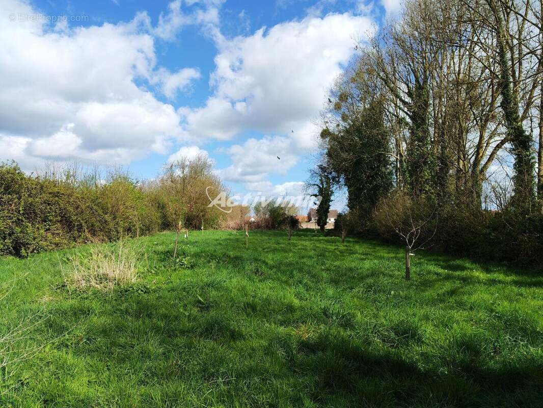 4287 16 - Maison à LE QUESNOY-EN-ARTOIS