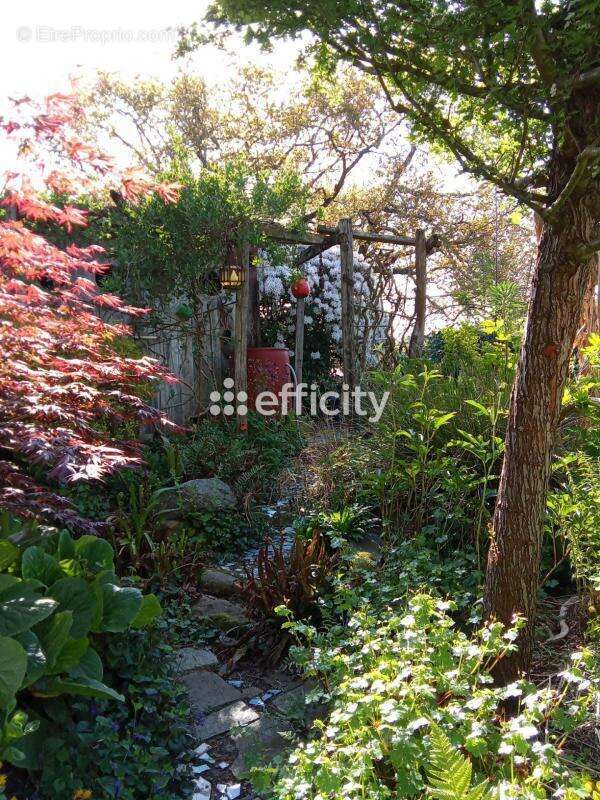 Maison à SAINT-PIERRE-DE-PLESGUEN
