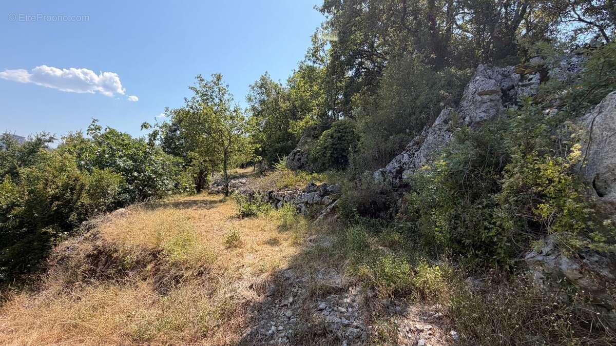 Terrain À Vendre 1500 m² - photo 5