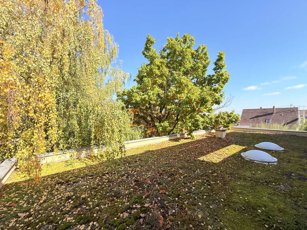 Maison à RIBEAUVILLE