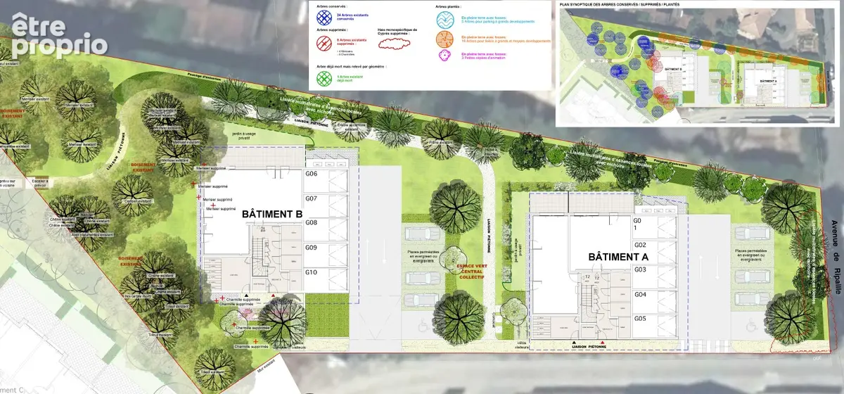 THONON quartier Ripaille / Concise - T3 avec terrasse, garage et cave - photo 5