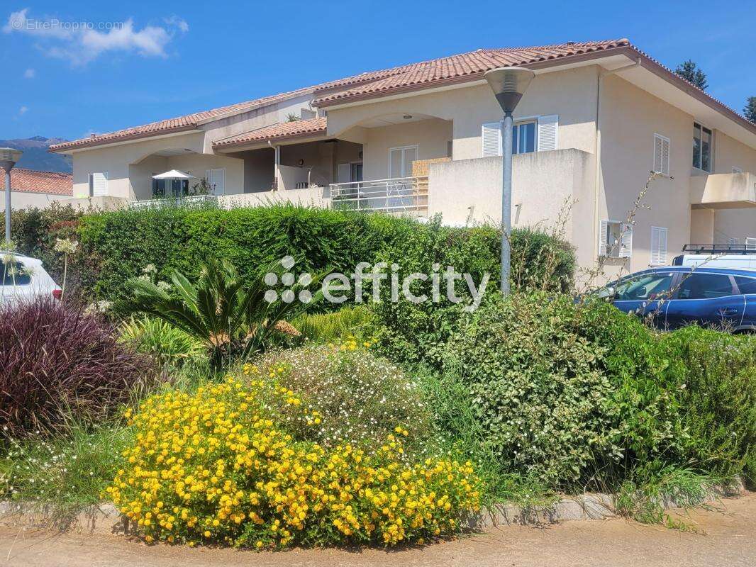 Appartement - photo 9