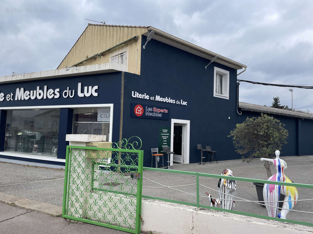 Commerce à LE LUC