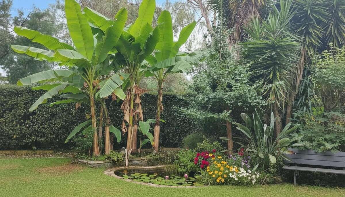 Photo 2 - Maison à SAN-NICOLAO