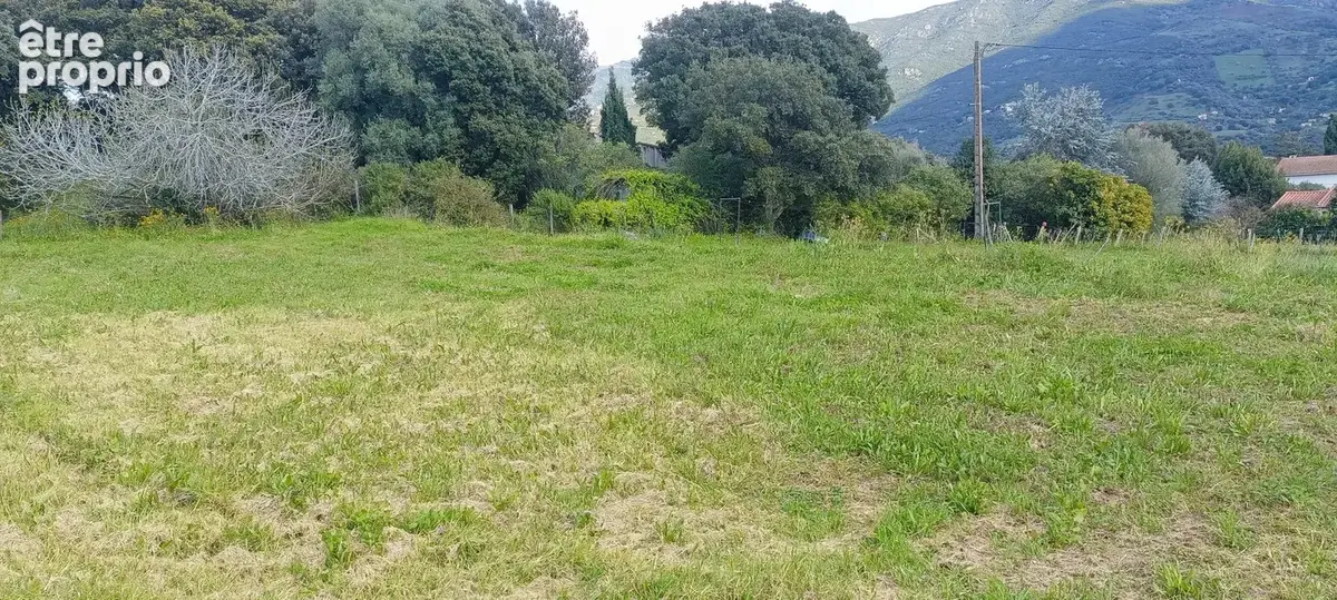 Terrain à SARROLA-CARCOPINO
