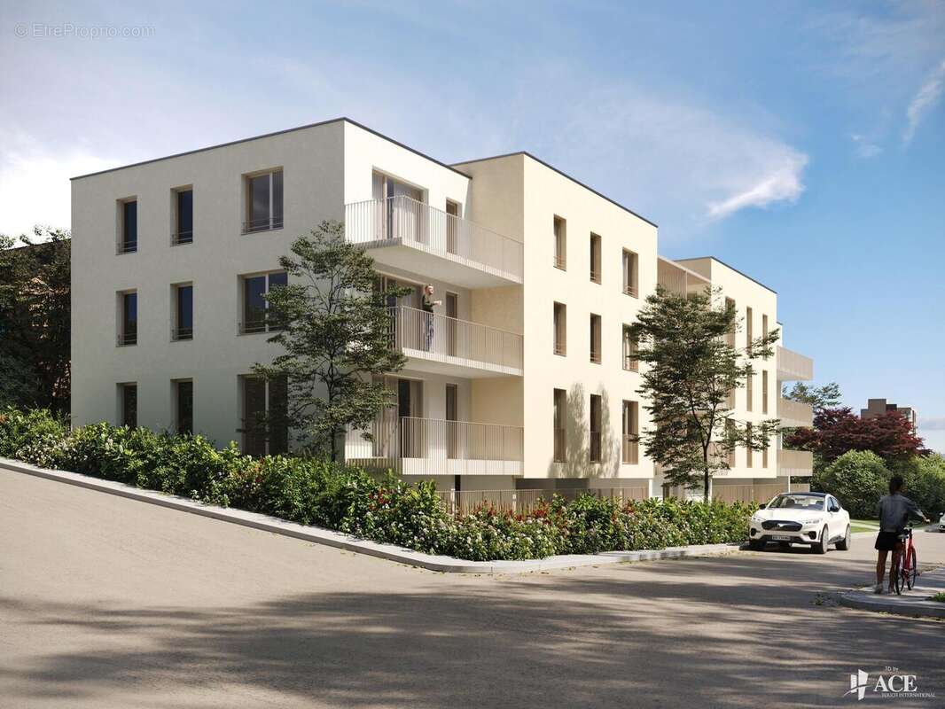 Photo 3 - Appartement à NEUVES-MAISONS