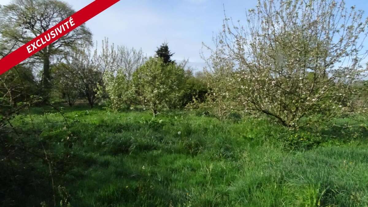 Maison à VIEUX-VY-SUR-COUESNON