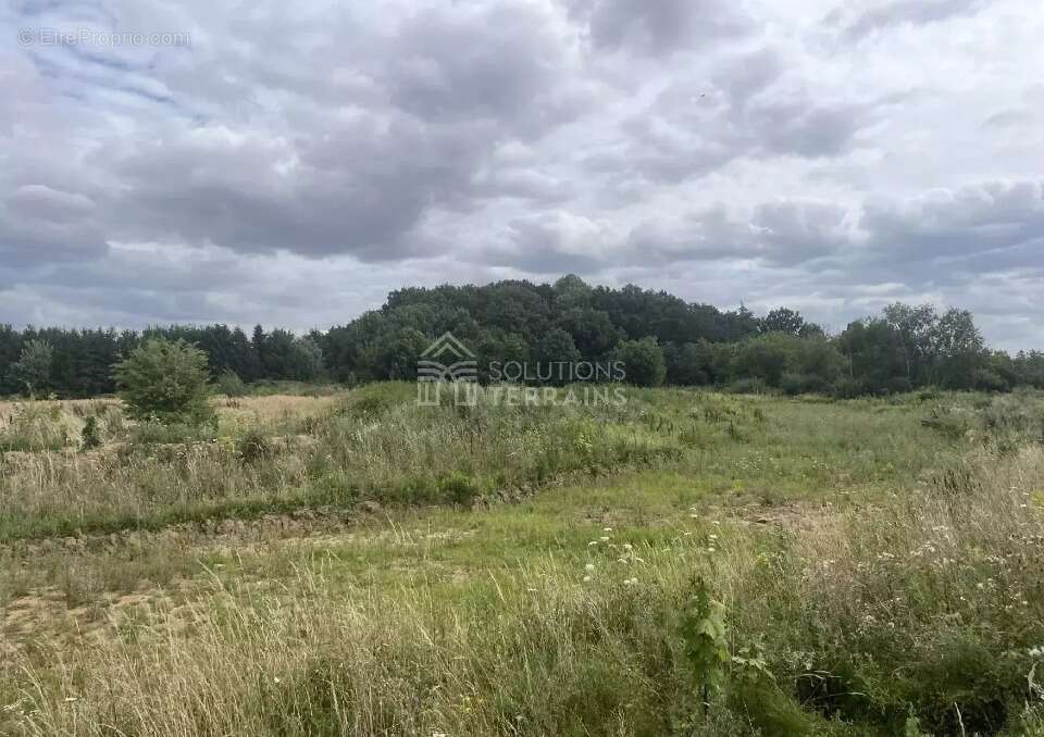 Terrain à GRISY-SUISNES