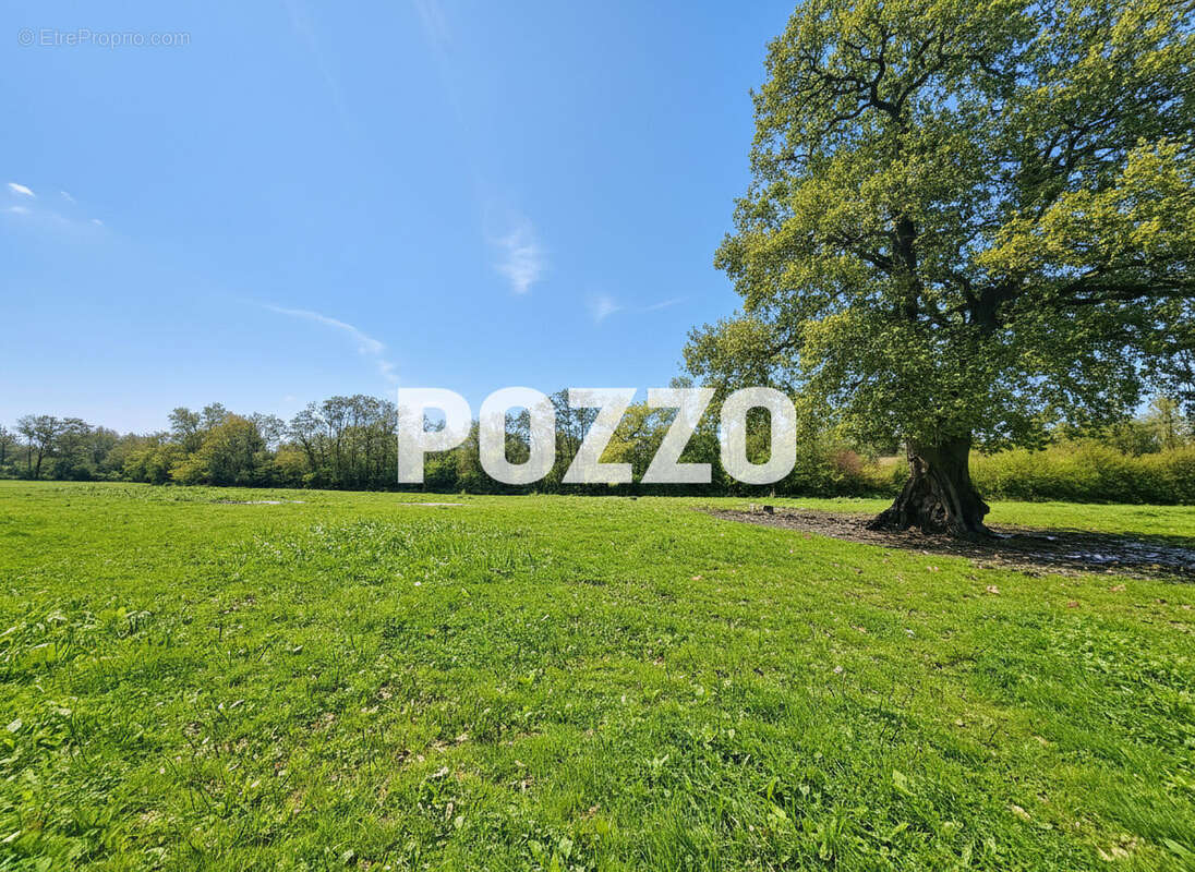 Maison à SAINT-SAUVEUR-LENDELIN