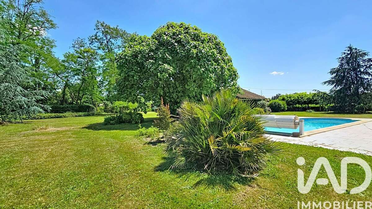 Photo 4 - Maison à VILLENEUVE-DE-MARSAN