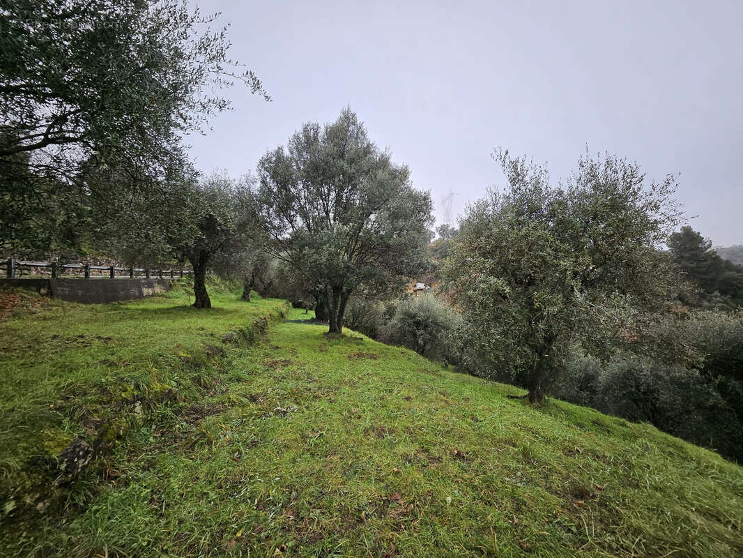 Terrain à BERRE-LES-ALPES