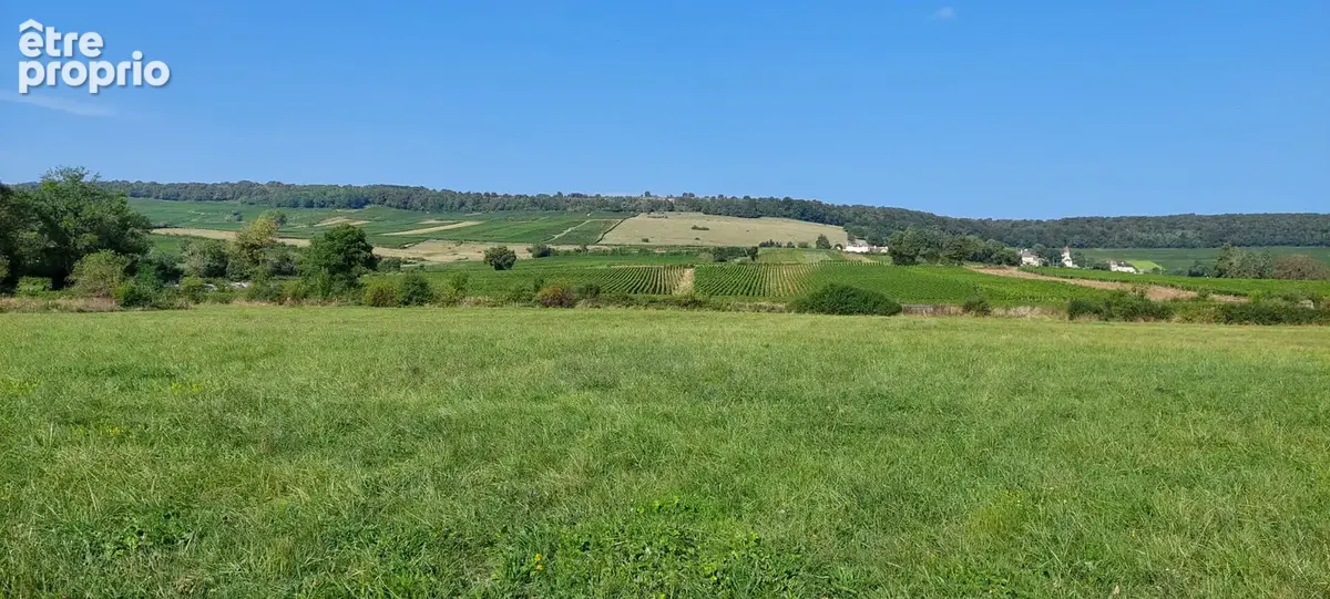 Le Domaine de la Griseaude - LOT 02 - photo 3