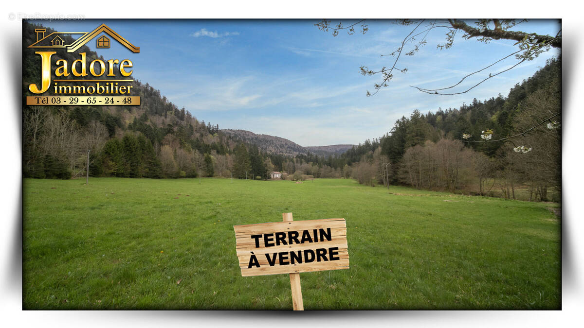 Terrain à BAN-SUR-MEURTHE-CLEFCY