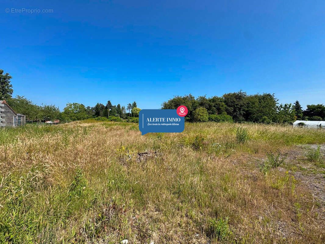 Terrain à LA NEUVILLE