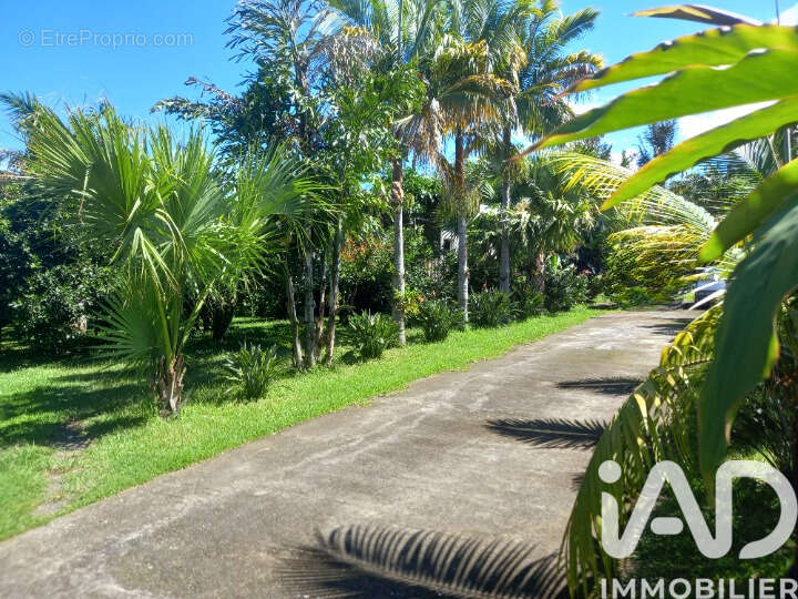 Photo 3 - Maison à LE TAMPON
