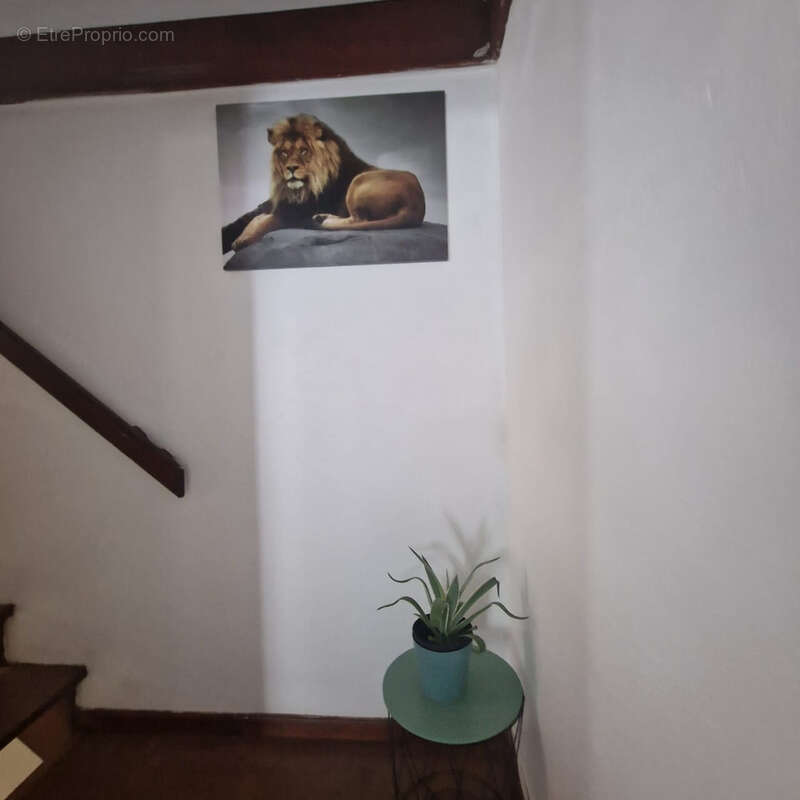 Maison à CAYENNE