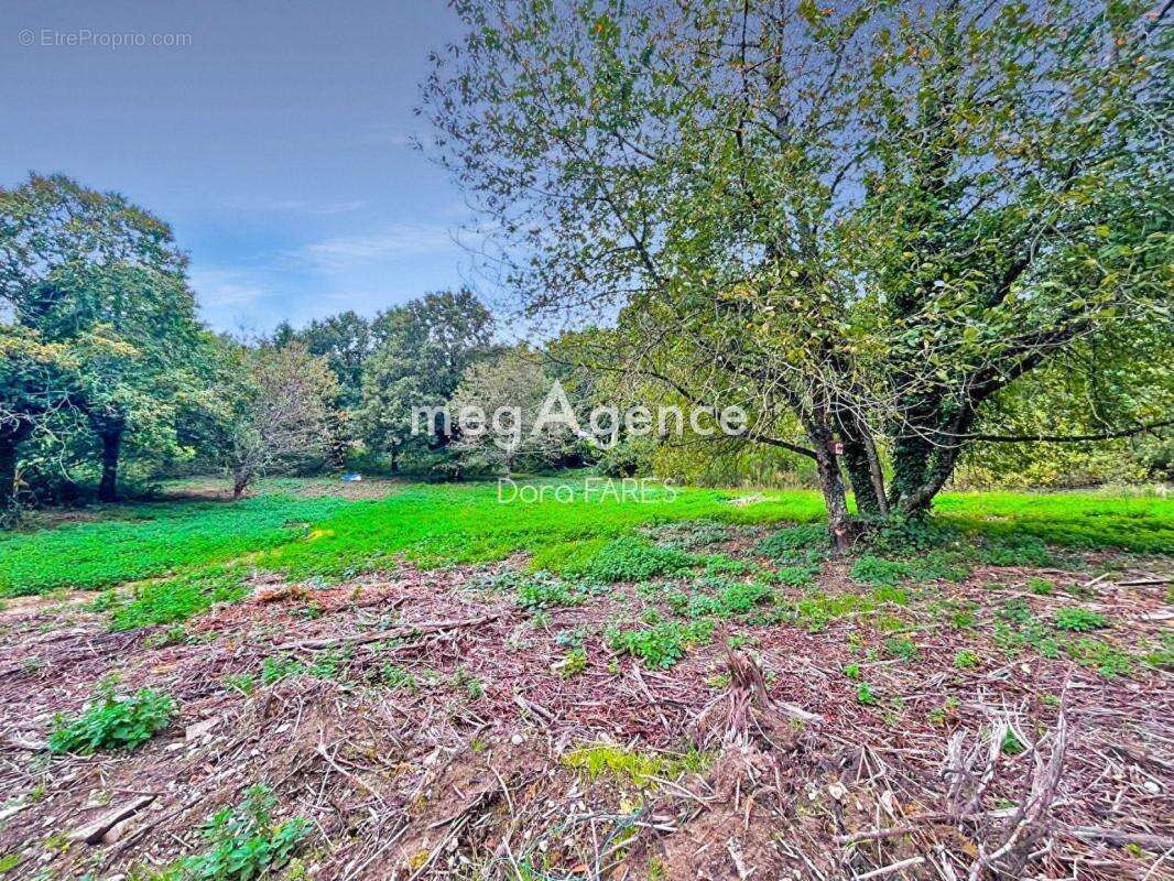 ** Terrain de 2003 m² à bâtir et construire sur Marcoussis** - photo 4
