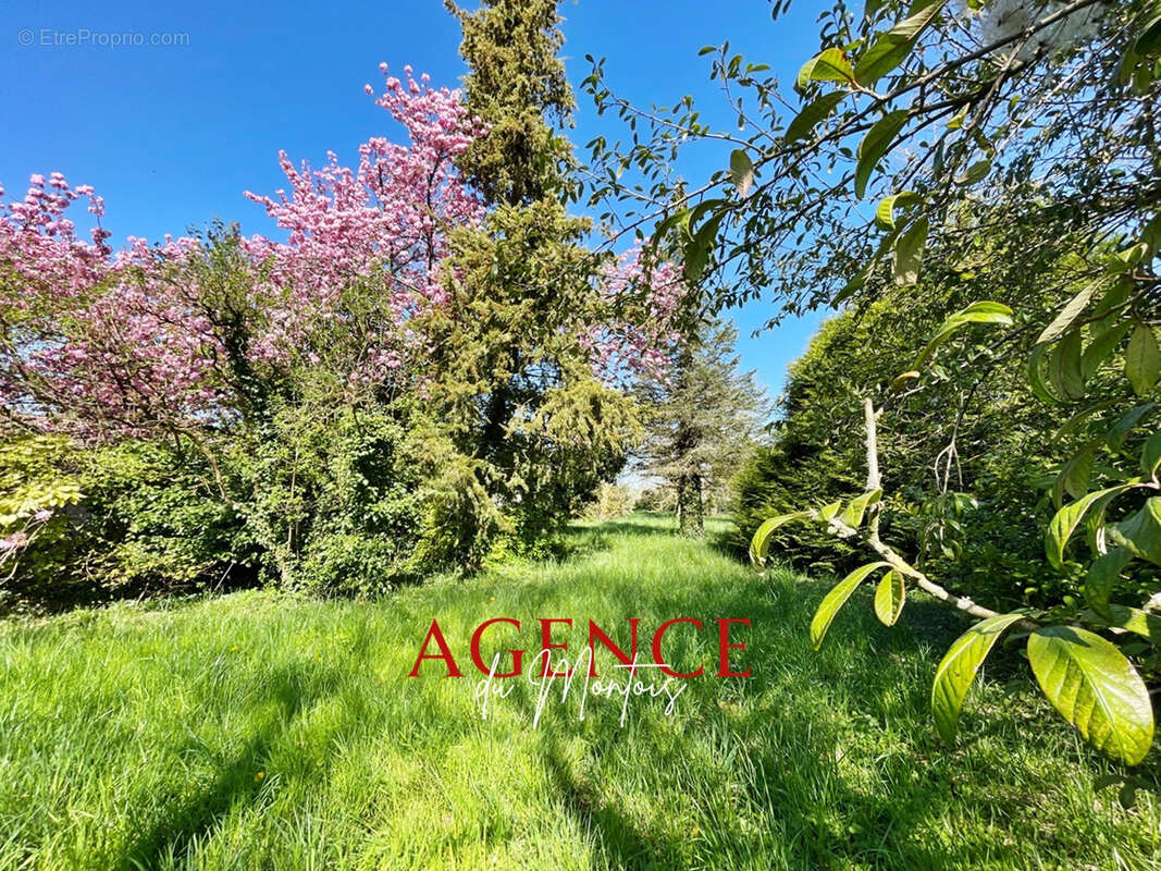 Terrain à BRAY-SUR-SEINE