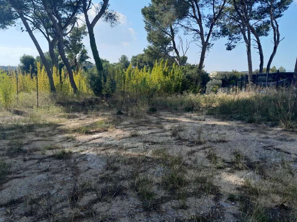 Terrain à SEPTEMES-LES-VALLONS
