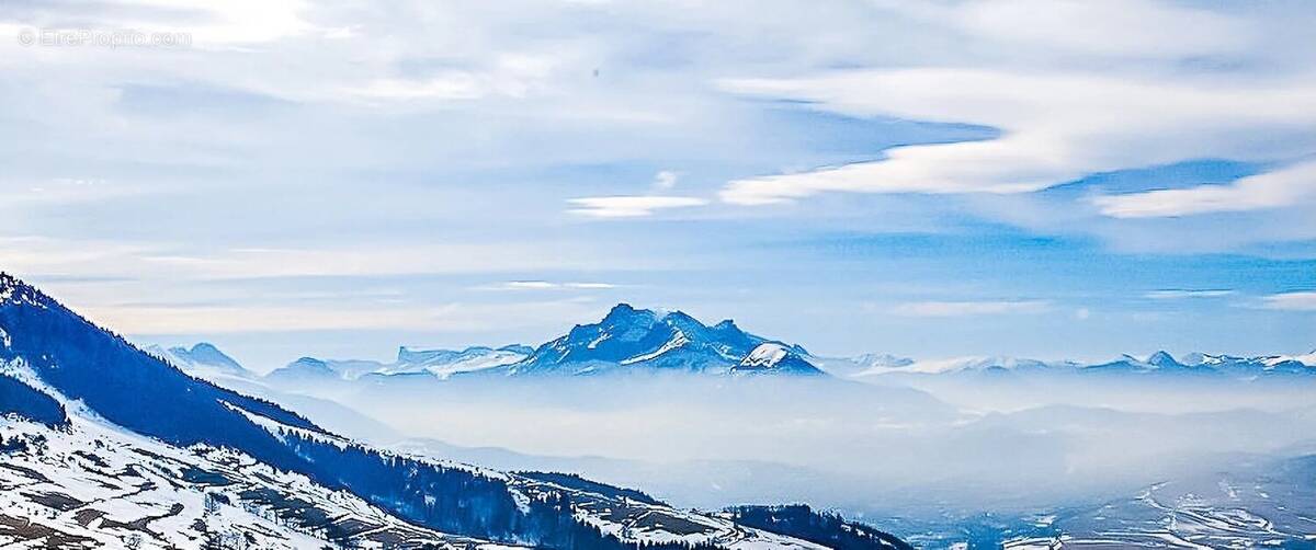 Terrain à SAINT-HONORE