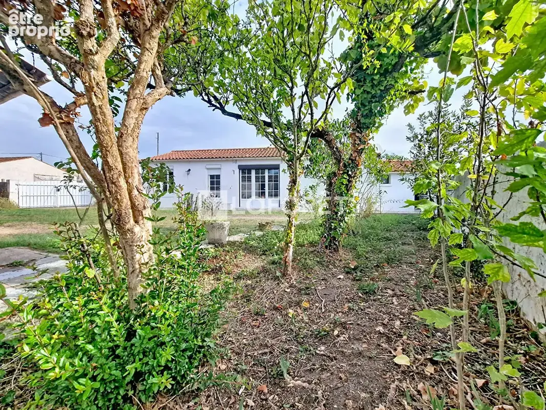 ÎLE D'OLERON (17190) Maison avec annexe - 5 pièce(s) 80m2 - photo 18