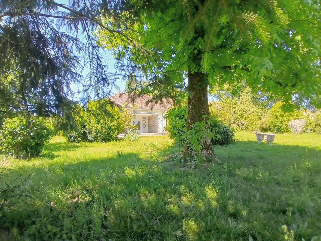 Maison de plain-pied de style pavillon, 3 chambres, avec un terrain de 4000 m²  à vendre en Dordogne - photo 3