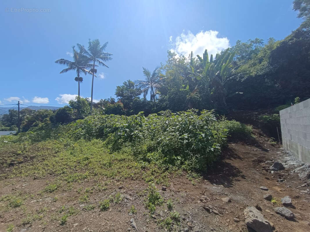 Terrain à LE TAMPON