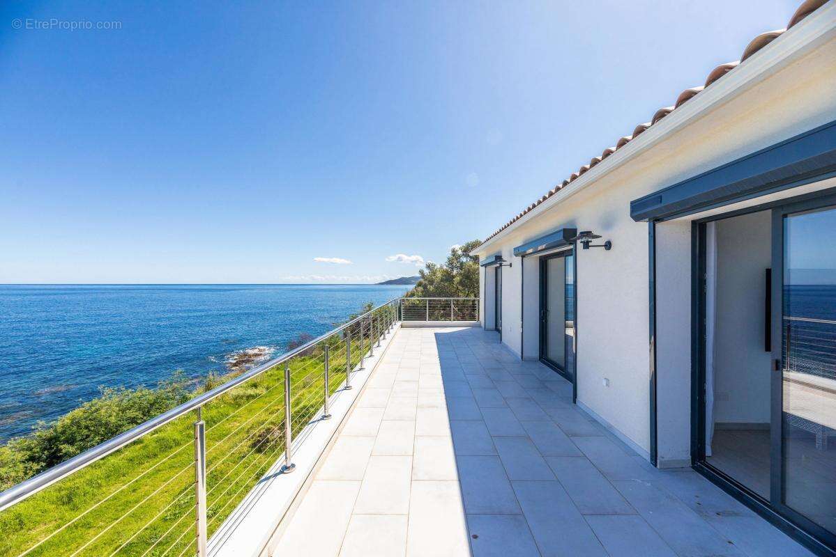 Maison à ZONZA