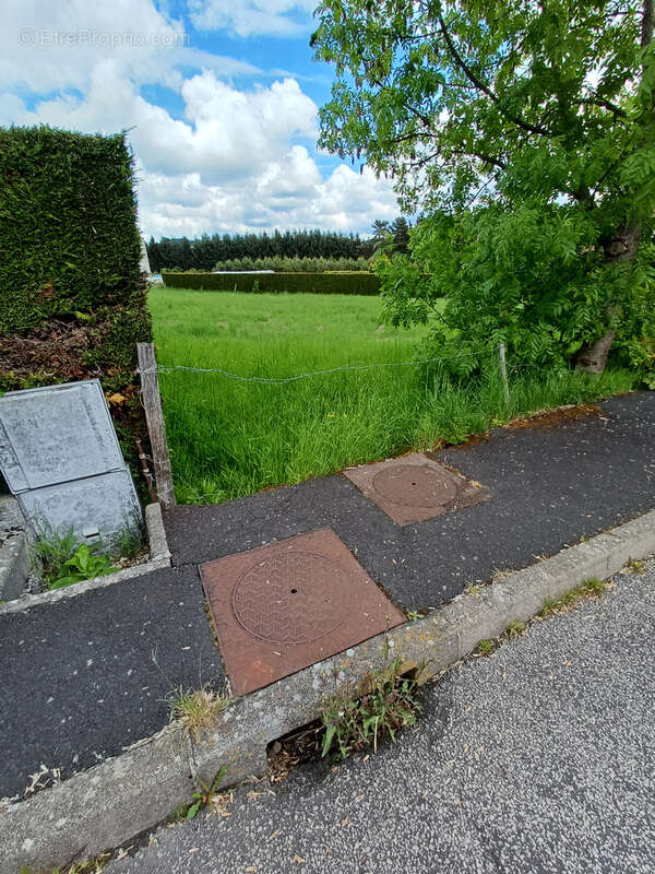 terrain constructible de 1675m2 - photo 4