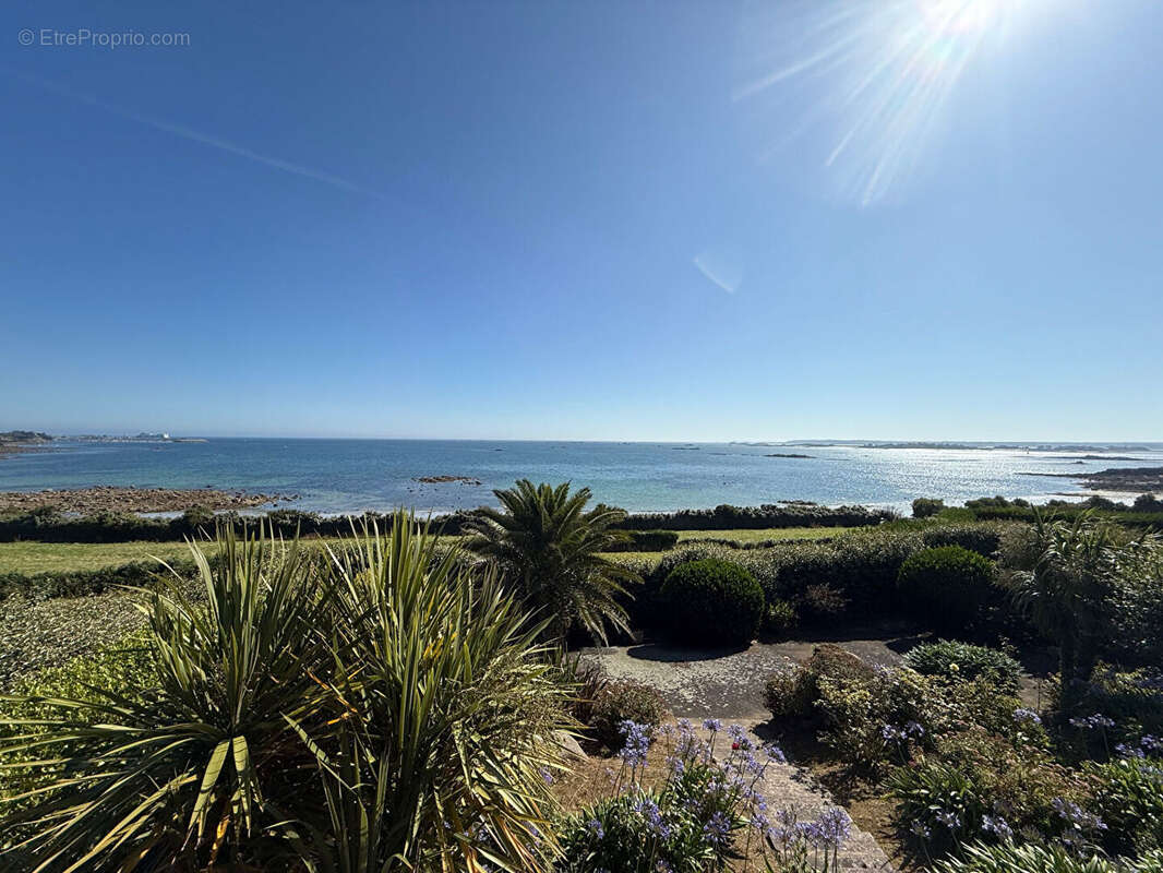 Maison à SAINT-POL-DE-LEON