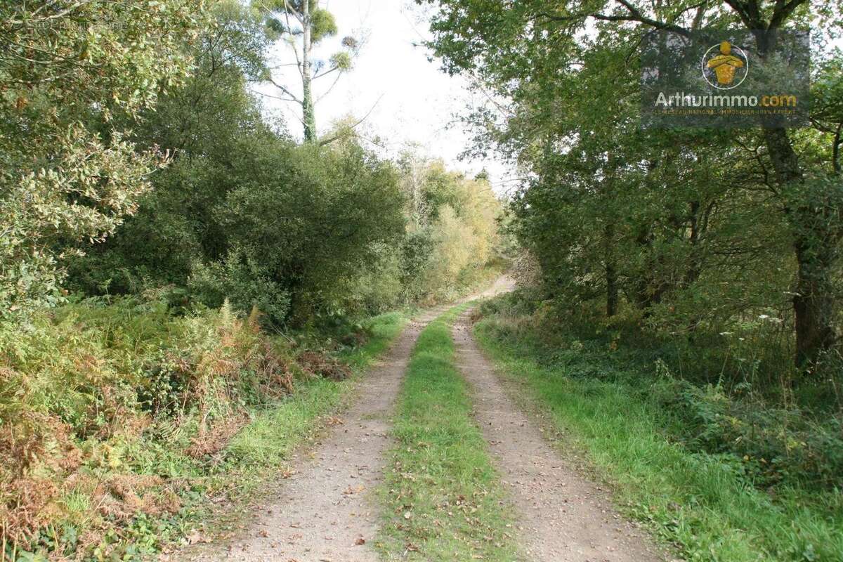 Terrain à GUEGON