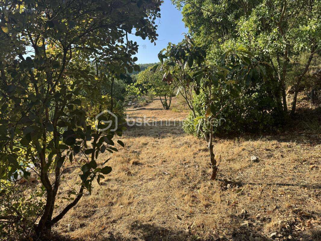 À La Roquebrussanne ( 83136), maison de charme dans un écrin de nature avec panorama exceptionnel, grand terrain et piscine - photo 22