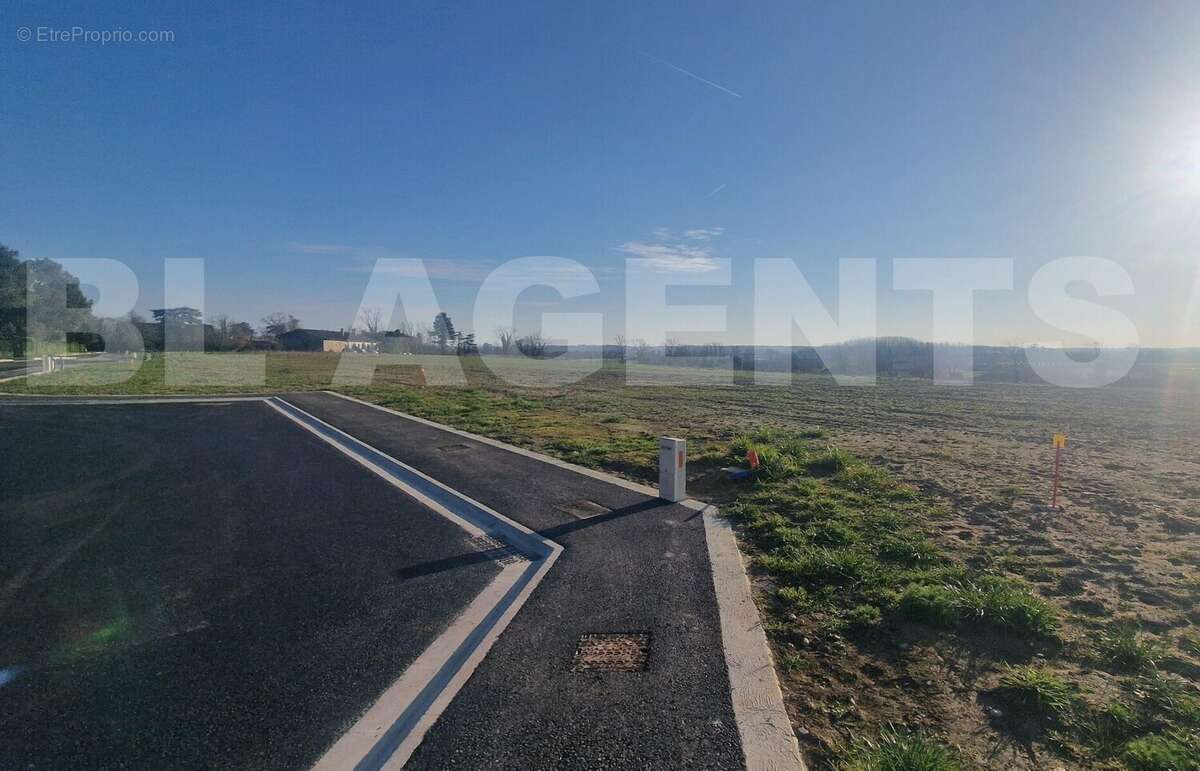 20250217_165201 - Terrain à CASTELSARRASIN