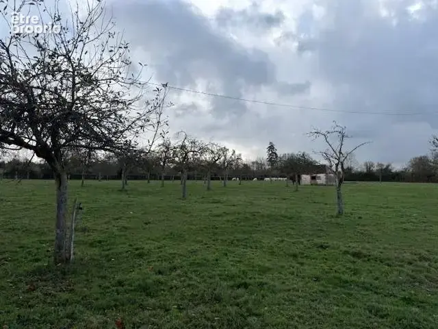 Terrain 20 000 m² à vendre à Livarot (14140) - photo 2