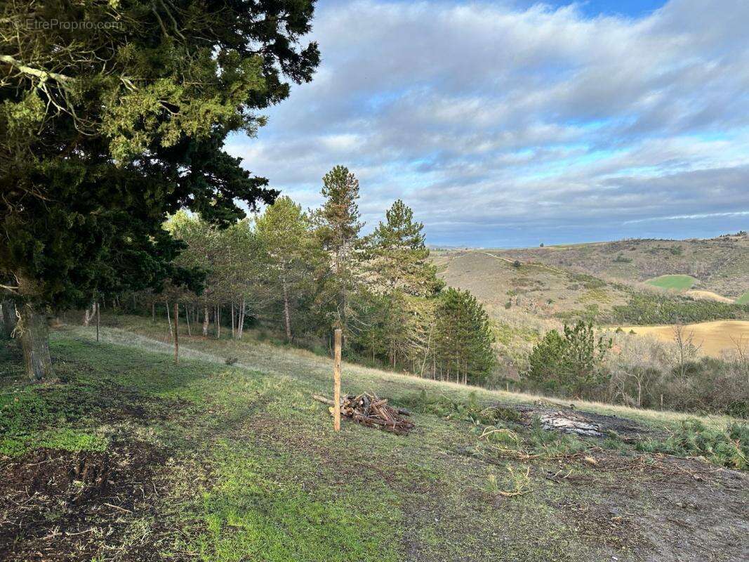 Mas/ferme rénové avec 6 chambres et 23 hectares de terrain - photo 29