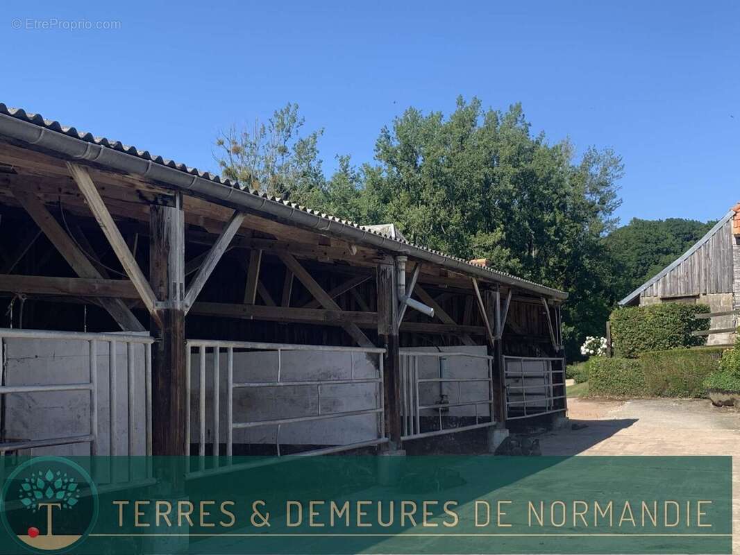 A vendre dans le PAYS D'AUGE du CALVADOS, secteur LISIEUX, haras d'élevage de chevaux sur une surface de 48 ha. - photo 20